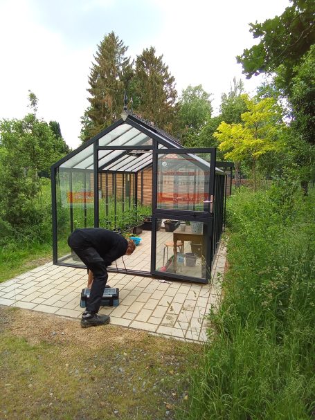 Mann arbeitet an einem Gewächshaus auf einem gepflasterten Weg in der Natur.